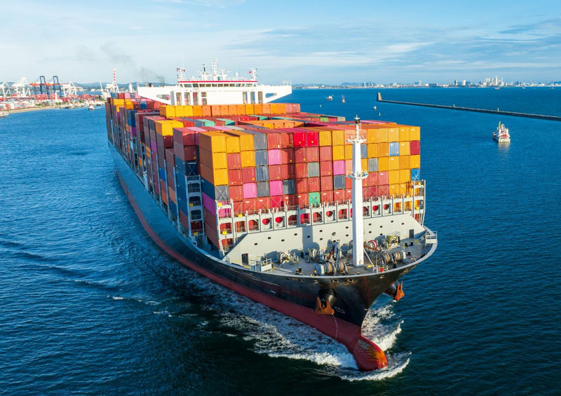 import-&-distribution